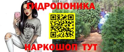 индика Нарткала