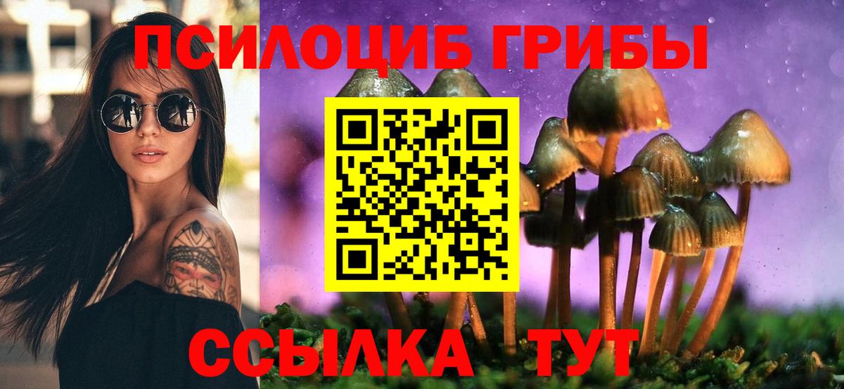 Киреевск  сколько стоит  Вход с VPN  Галлюциногенные грибы Magic Shrooms 